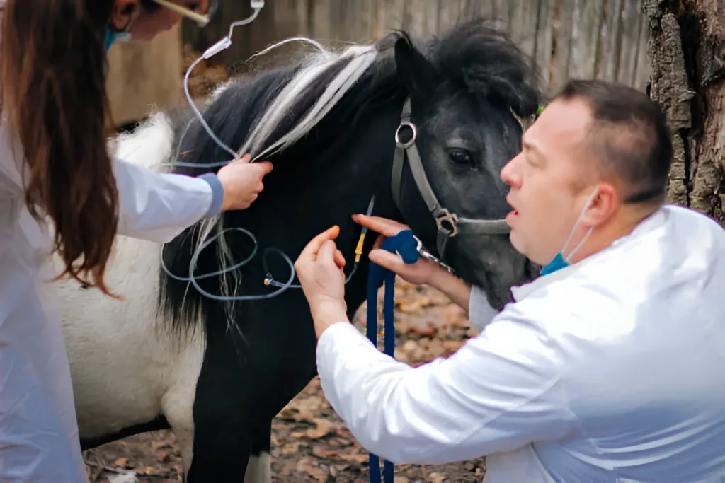 Innovative Therapies in Residential Treatment From Equine to Art Therapy