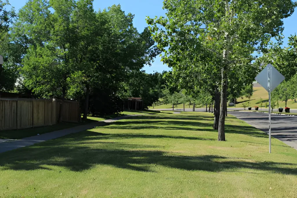 Achieve the Best Lawn Care in Calgary Expert Tips for a Lush, Green Yard