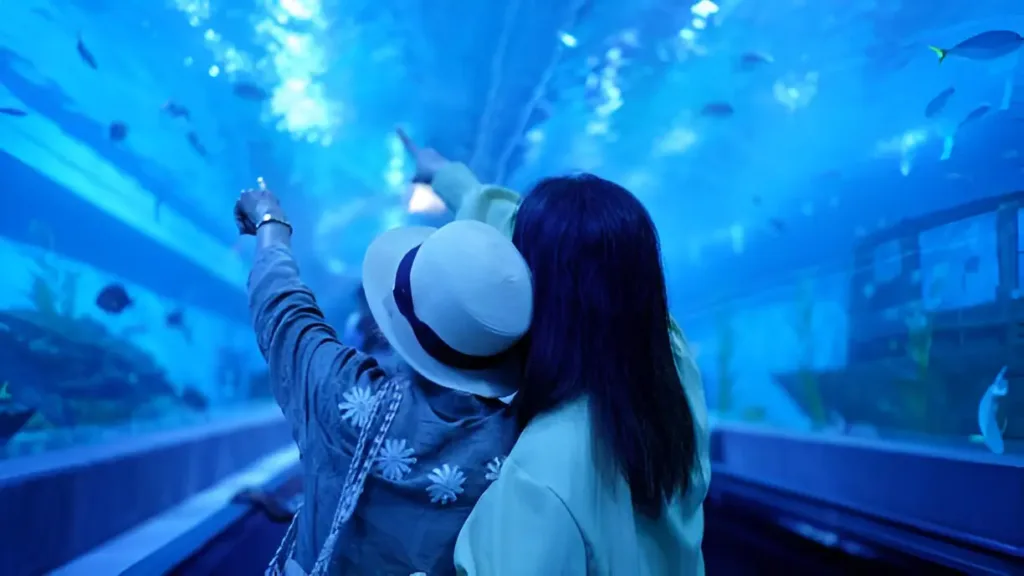 How to Plan the Perfect Visit to the Best Aquariums in the US