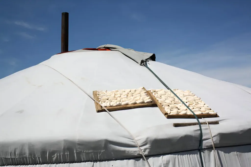 The Average Cost of Building a Yurt What You Need to Know